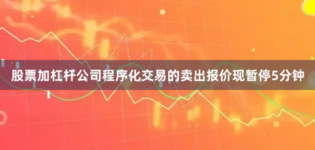 股票加杠杆公司程序化交易的卖出报价现暂停5分钟